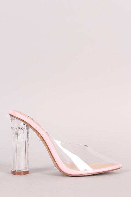 Transparent Pointy Toe Chunky Clear Heel Mule Pump