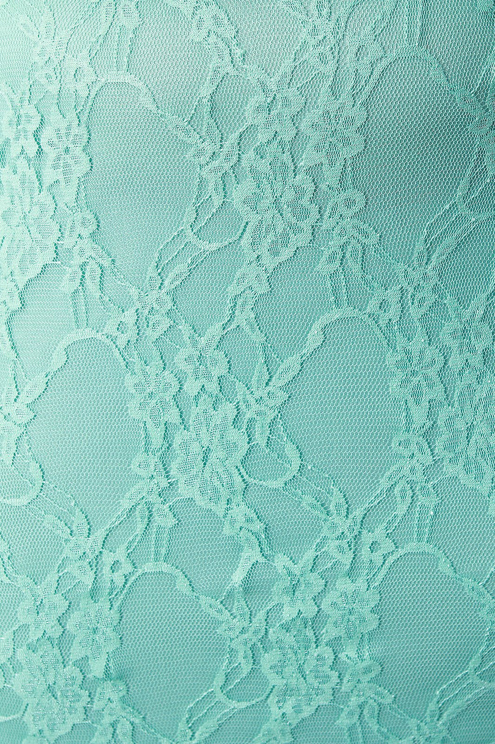 Semi-Sheer Floral Lace Pencil Skirt