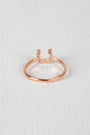 Horseshoe Rhinestones Ring