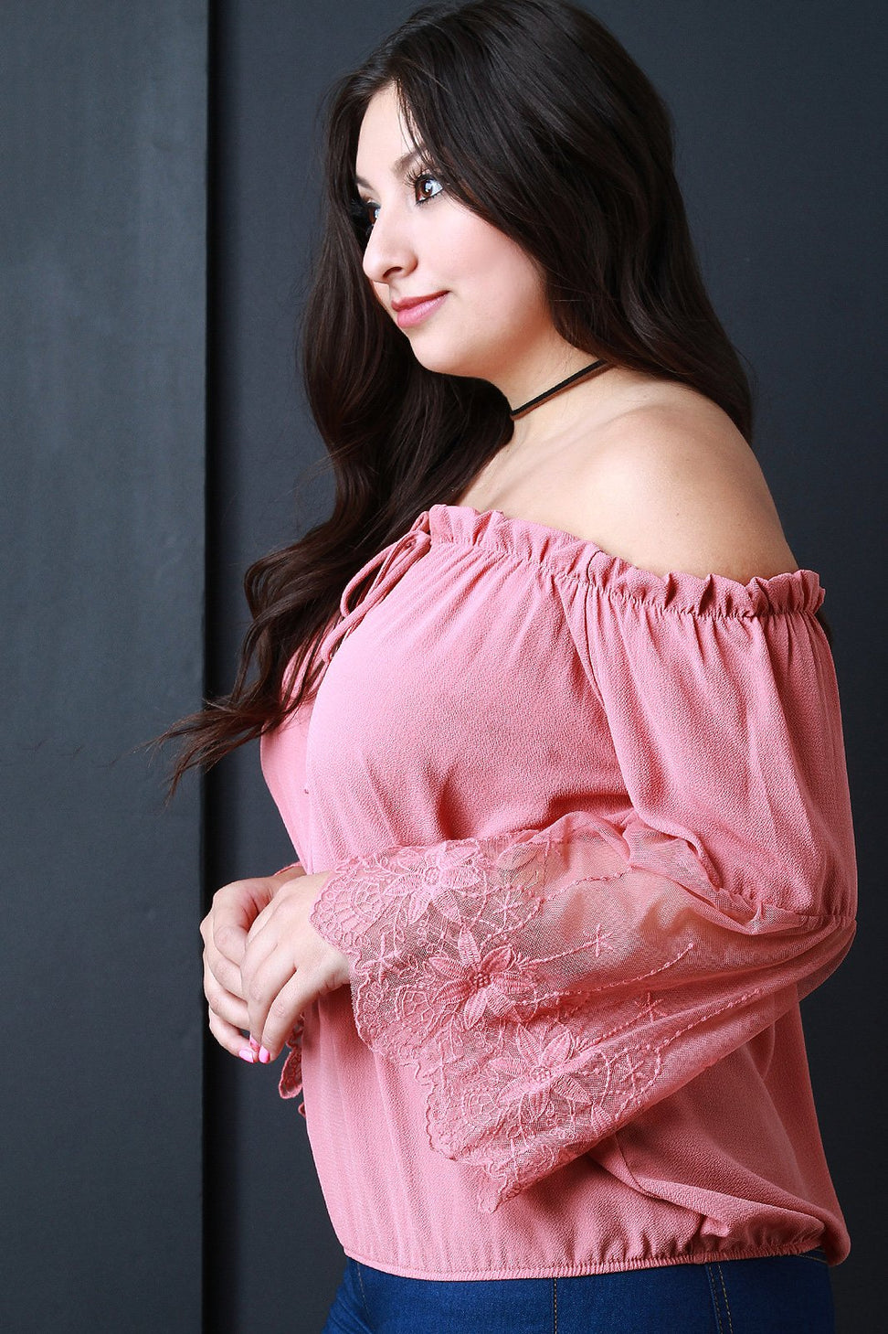Off The Shoulder Embroidered Mesh Sleeve Peasant Top