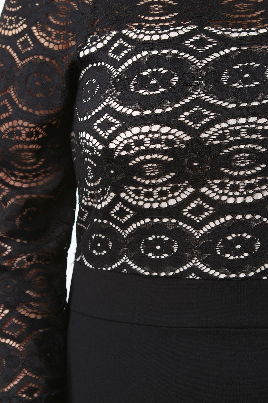 Scallop Lace Bardot Contrast Midi Dress