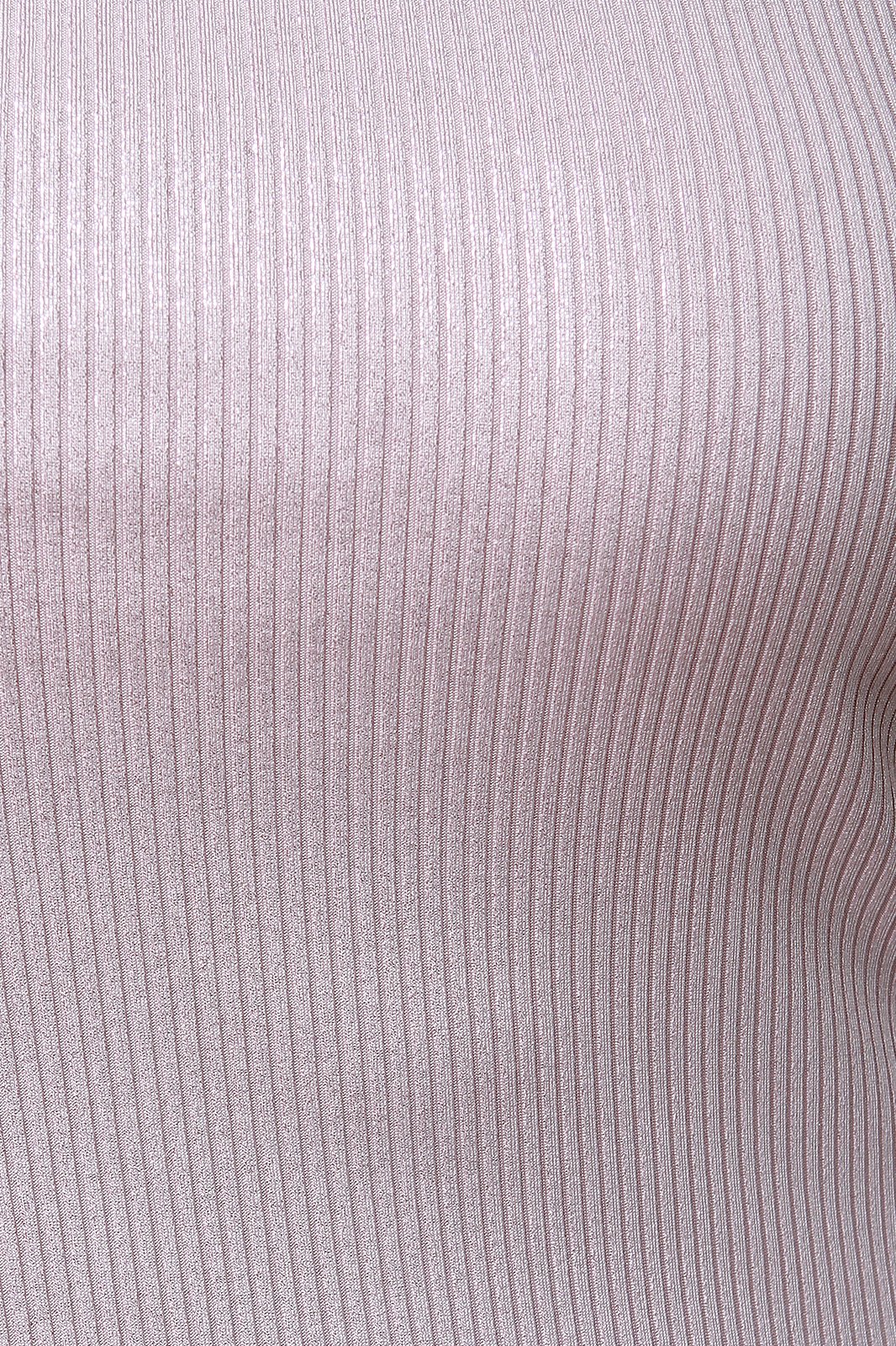 Rib Knit Shimmer Sleeveless Dress