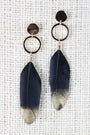 Linked Circle Metallic Feather Earring - NoveltyOne
