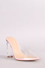 Transparent Pointy Toe Chunky Clear Heel Mule Pump