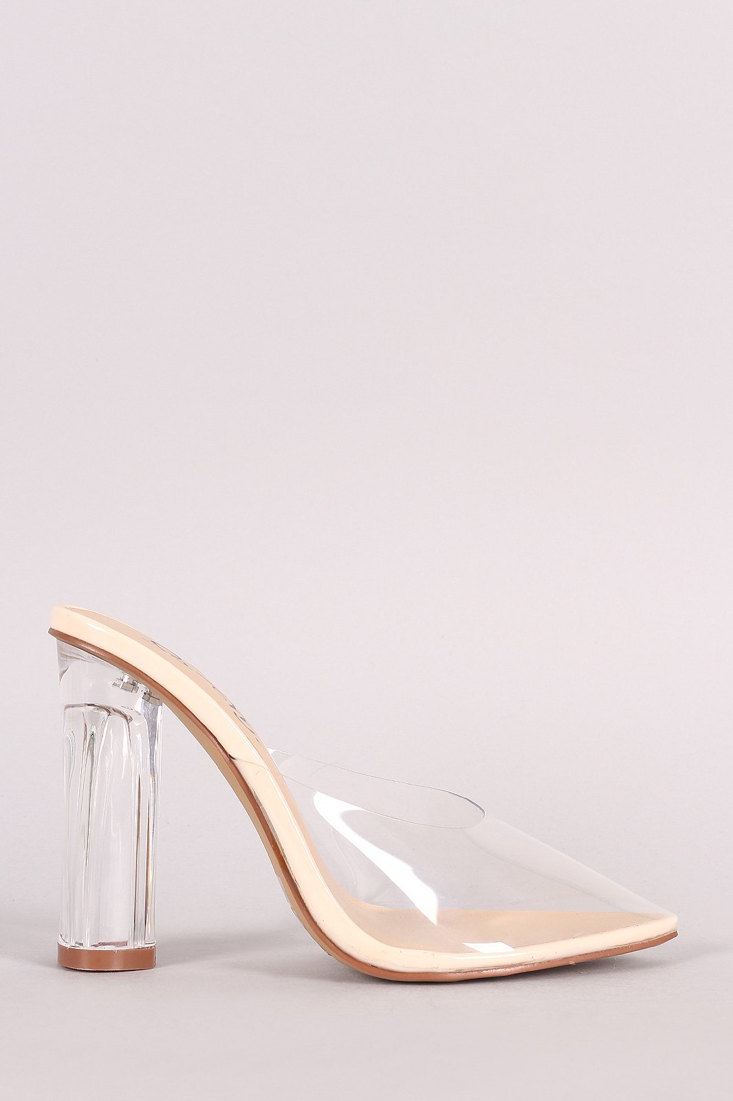 Transparent Pointy Toe Chunky Clear Heel Mule Pump