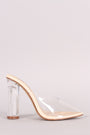 Transparent Pointy Toe Chunky Clear Heel Mule Pump