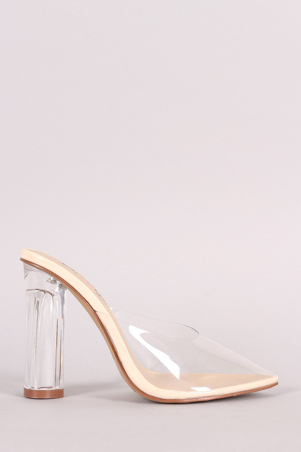 Transparent Pointy Toe Chunky Clear Heel Mule Pump