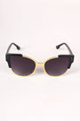 Tinted Retro Clubmaster Sunglasses