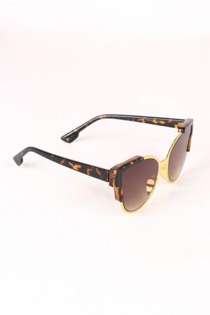 Tinted Retro Clubmaster Sunglasses