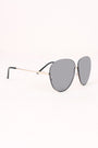 Tinted Aviator Sunglasses