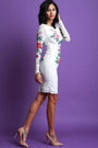 Floral Vine Mesh Bodycon Dress