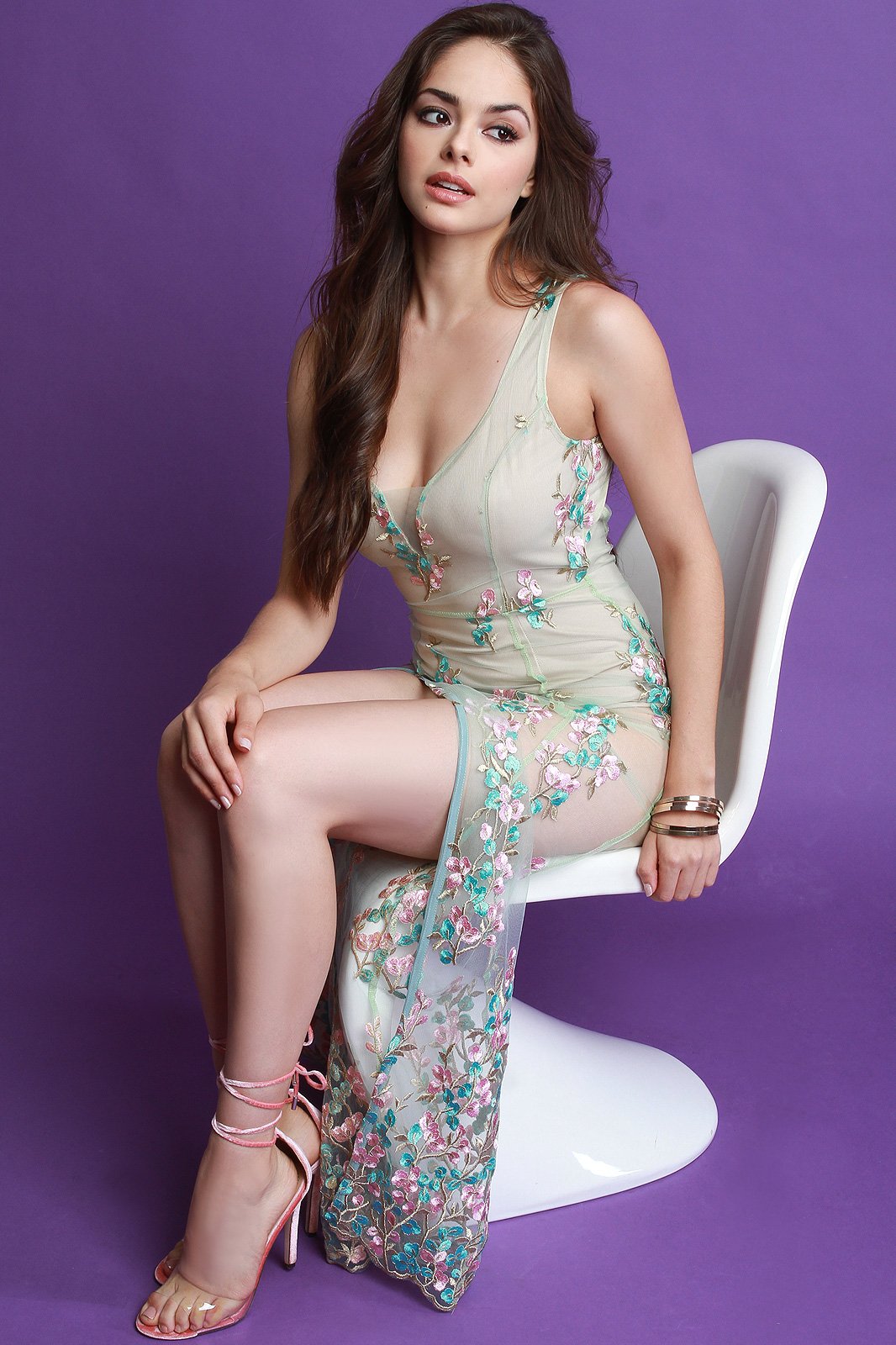 Sheer Mesh Floral Embroidery Maxi Dress