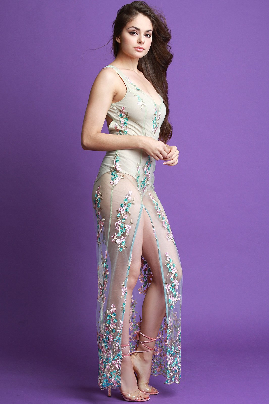 Sheer Mesh Floral Embroidery Maxi Dress