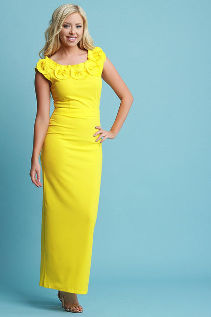 Pleated Floral Neckline Maxi Dress