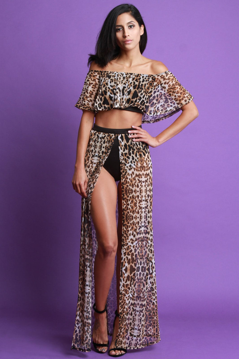 Leopard Print Mesh Two Piece Dress