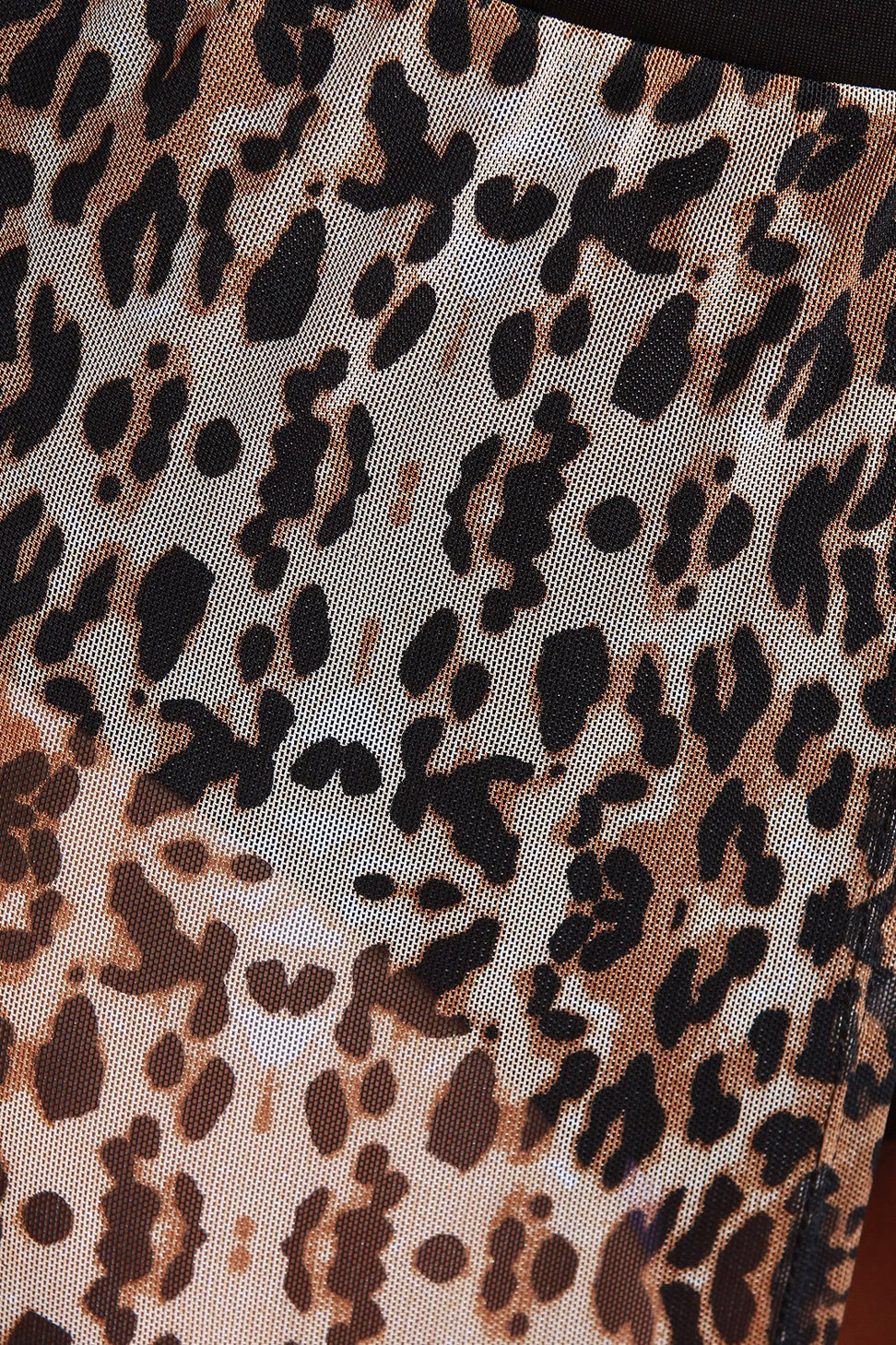 Leopard Print Mesh Two Piece Dress