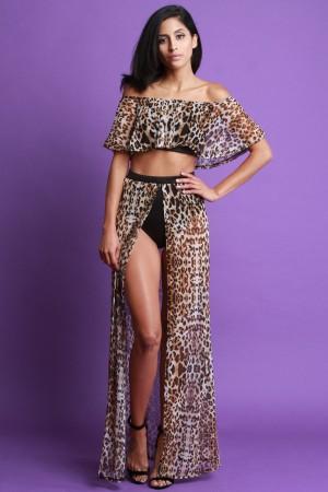 Leopard Print Mesh Two Piece Dress