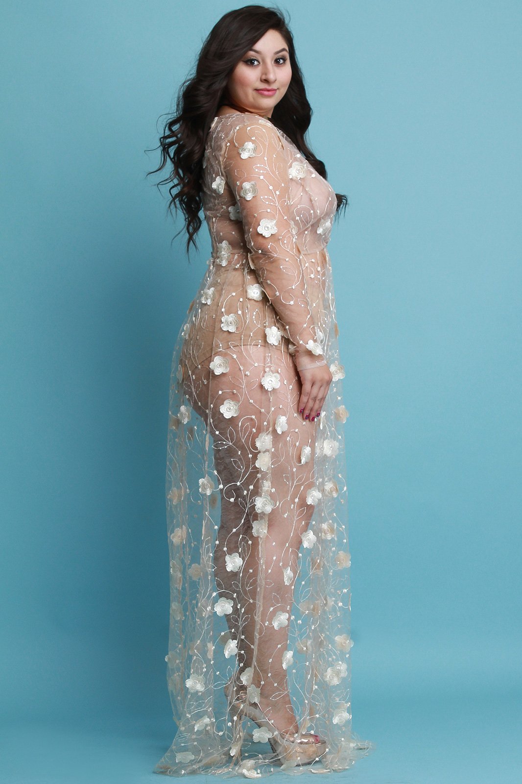 Flower Petal Embroidered Mesh Maxi Dress