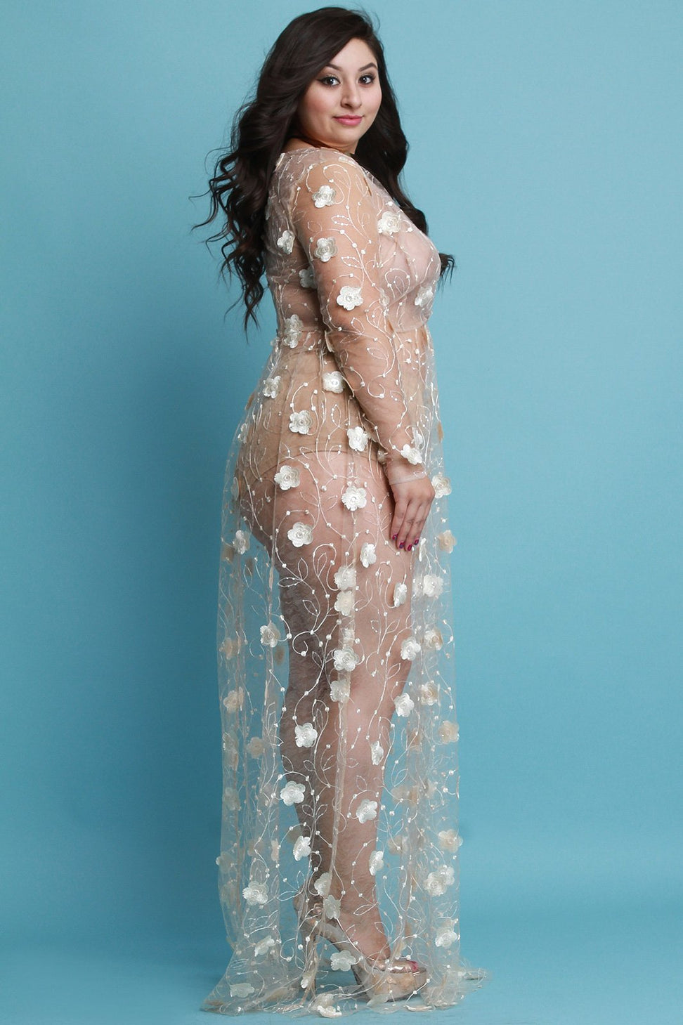 Flower Petal Embroidered Mesh Maxi Dress