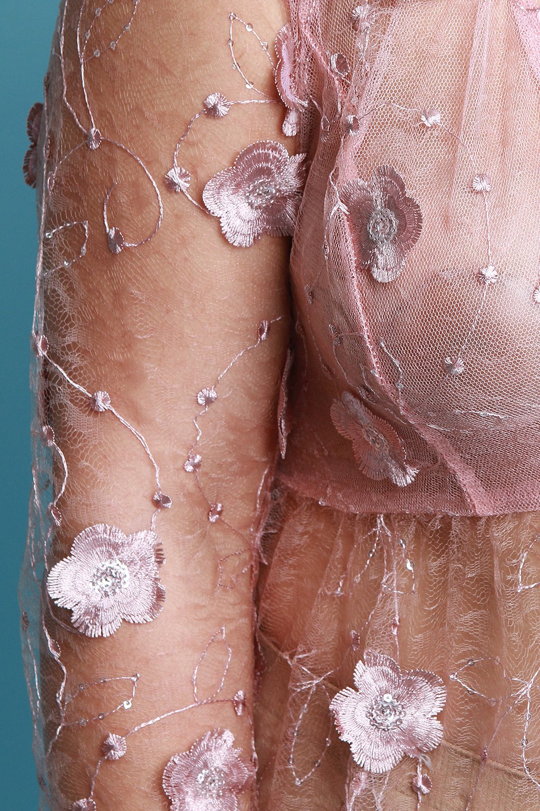 Flower Petal Embroidered Mesh Maxi Dress